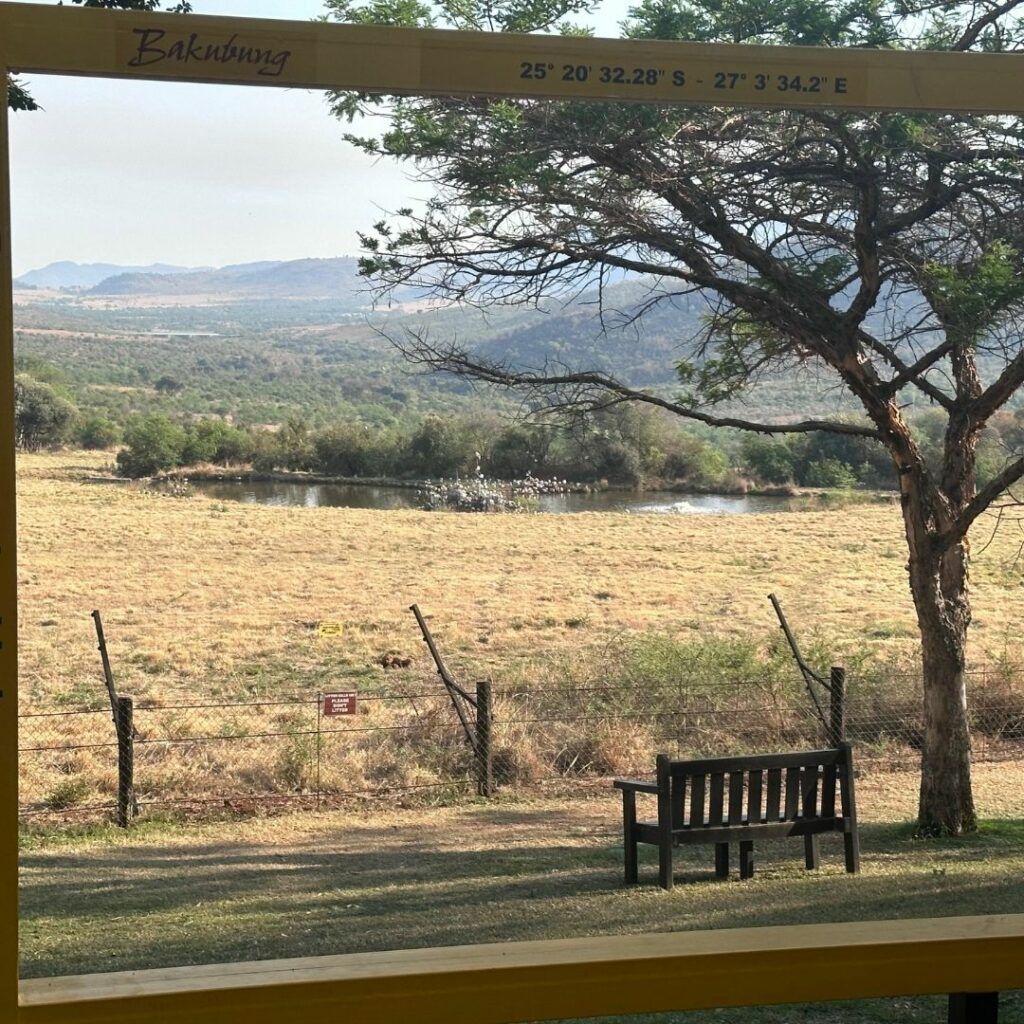 Ndlovukazi guest moment